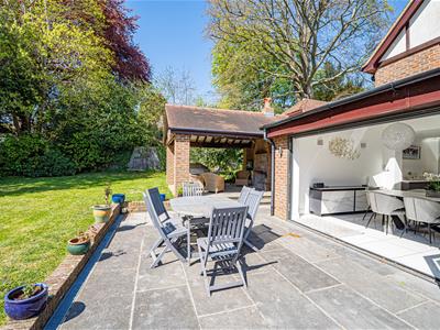 Picture 48